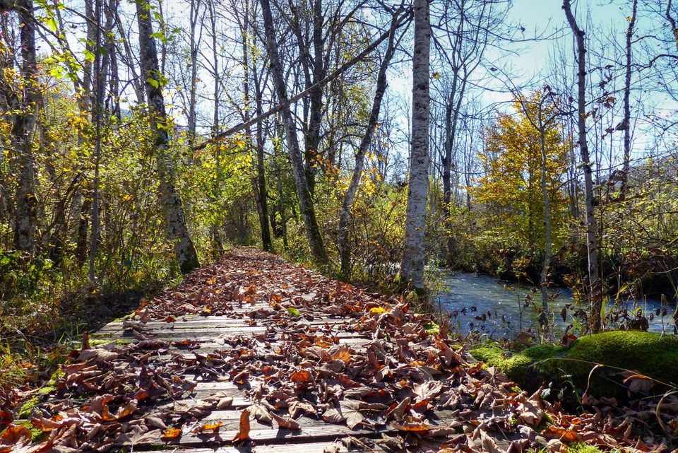 Lélex - La Valserine, rivière sauvage