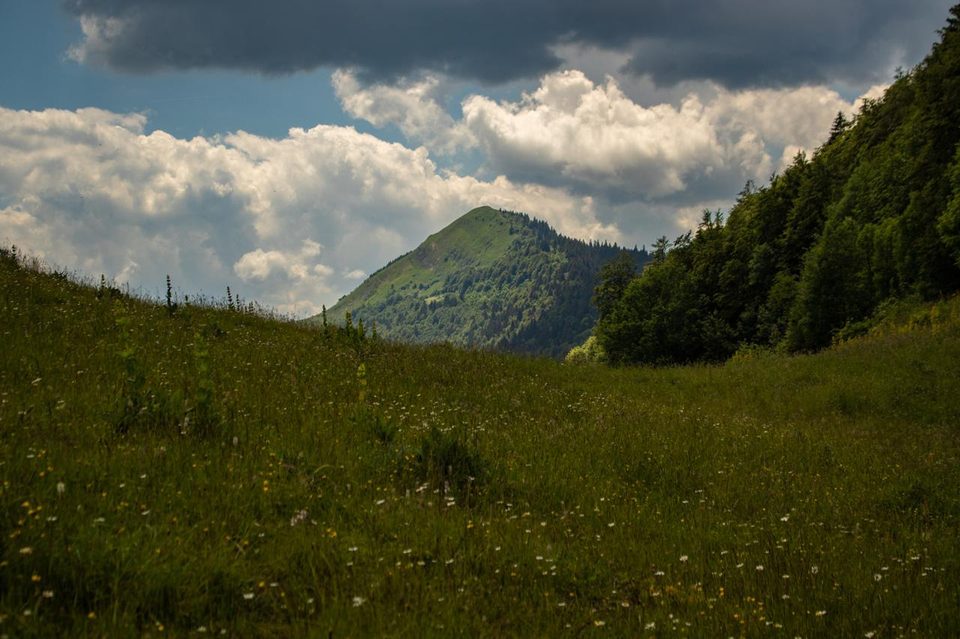 Parc naturel régional du Haut-Jura