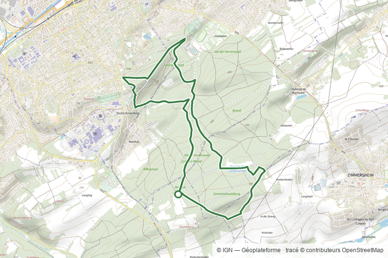 Sentier circulaire René Thomann - Tannenwald