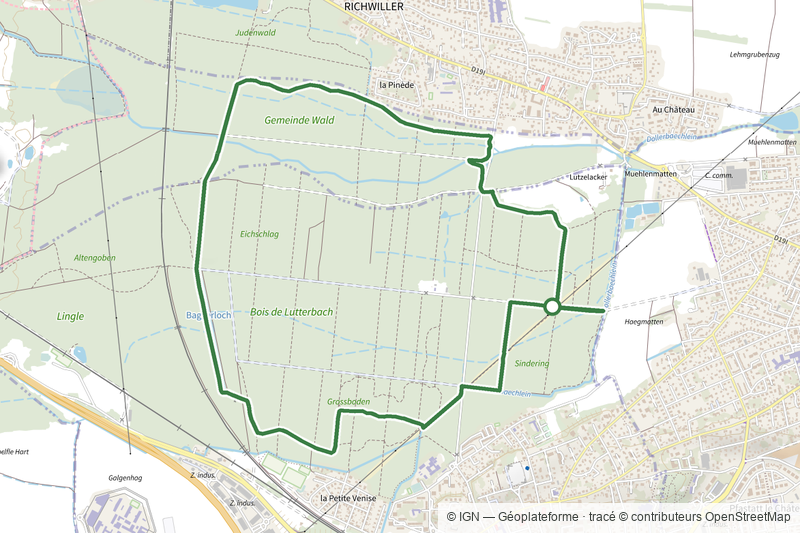 Circuit du Muguet - Noennenbruch