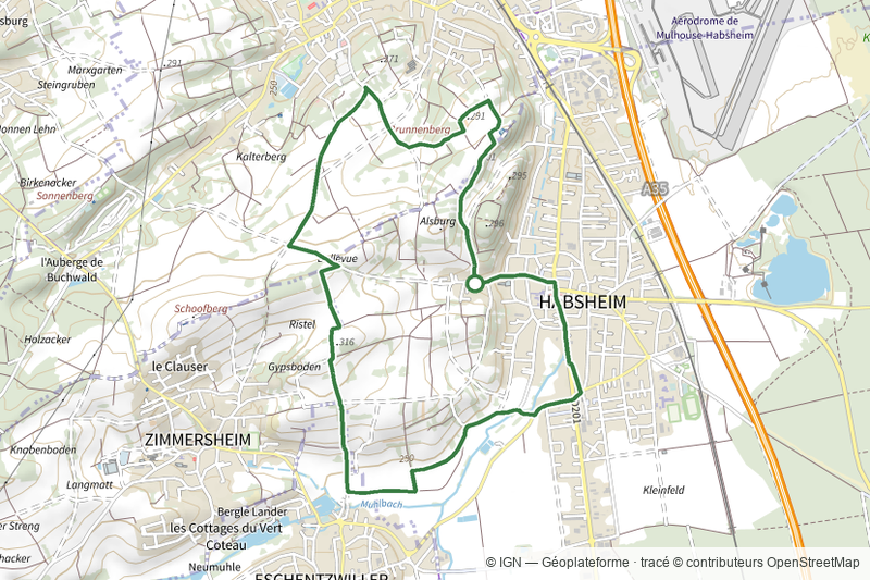 Circuit du Brunnenberg et de la Bellevue - Habsheim