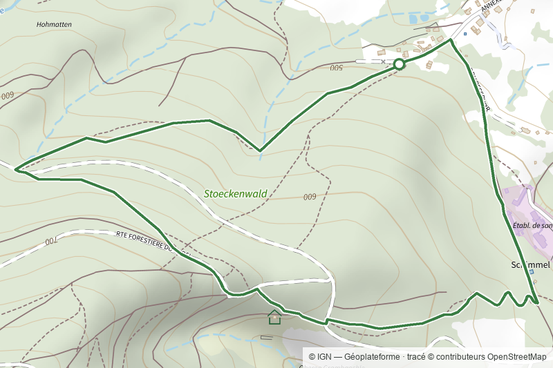 Circuit de Schimmel