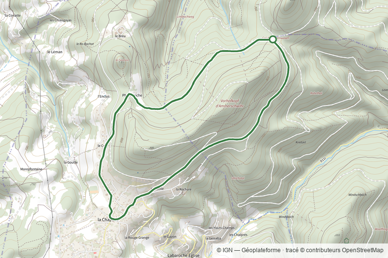 Circuit du col du Herrenwasen