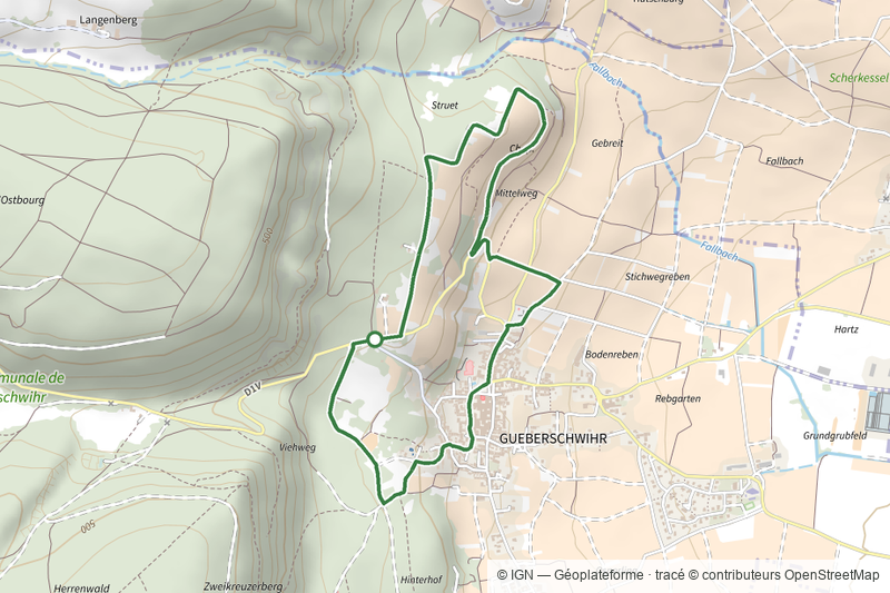 La promenade du Grand Cru Goldert