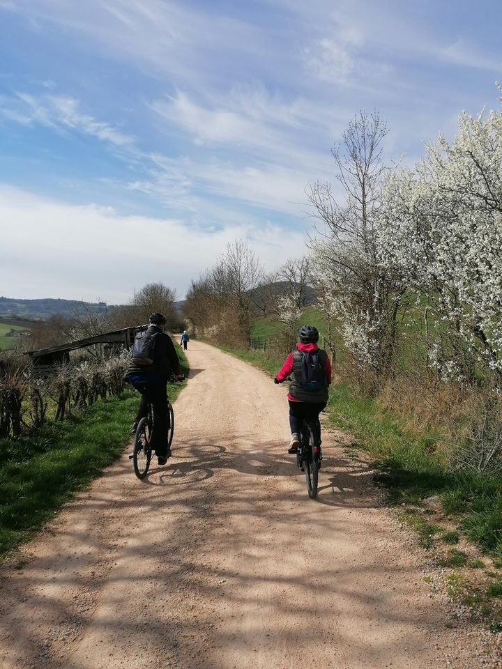 13 - Sur les bords de la Galoche