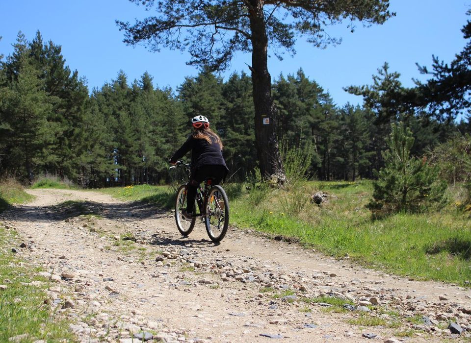 Circuit de la Transhumance