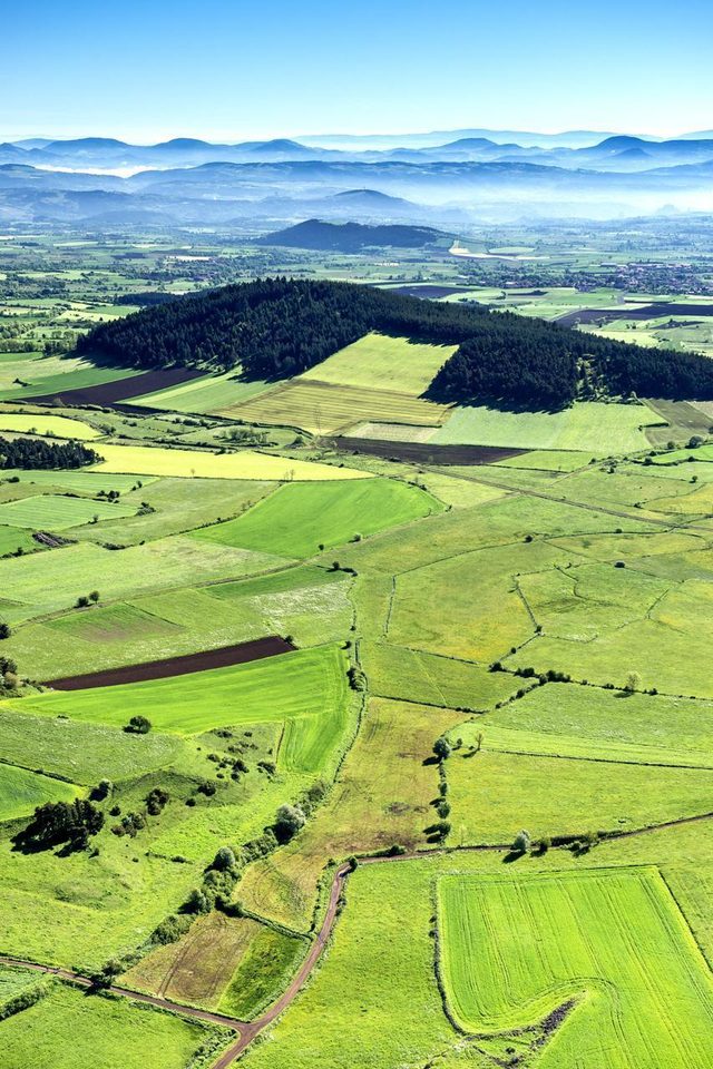17 - La route de la lentille verte