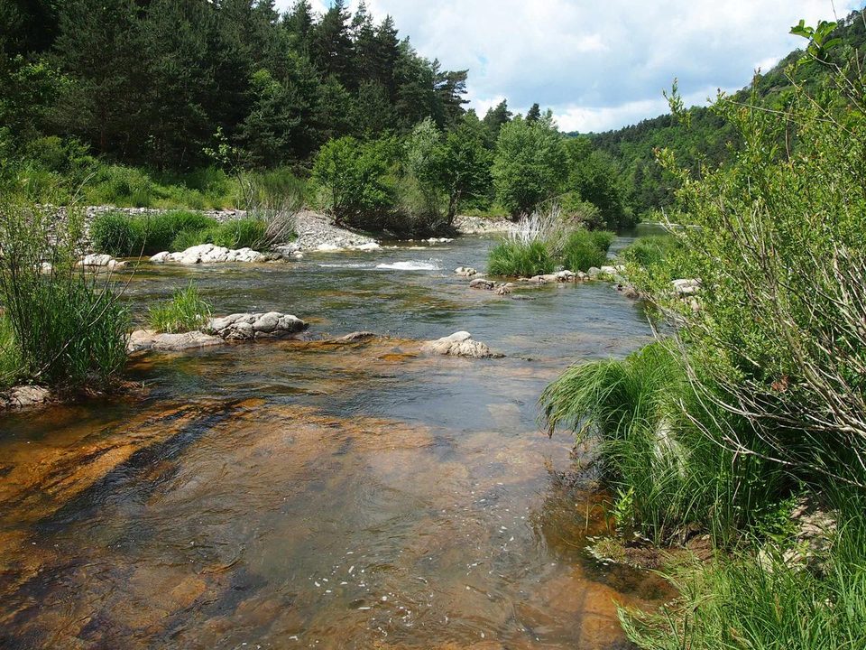 Clin d’œil aux sources de la Loire