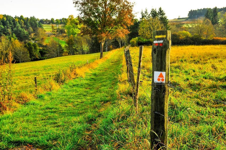 L'Arzon et ses affluents