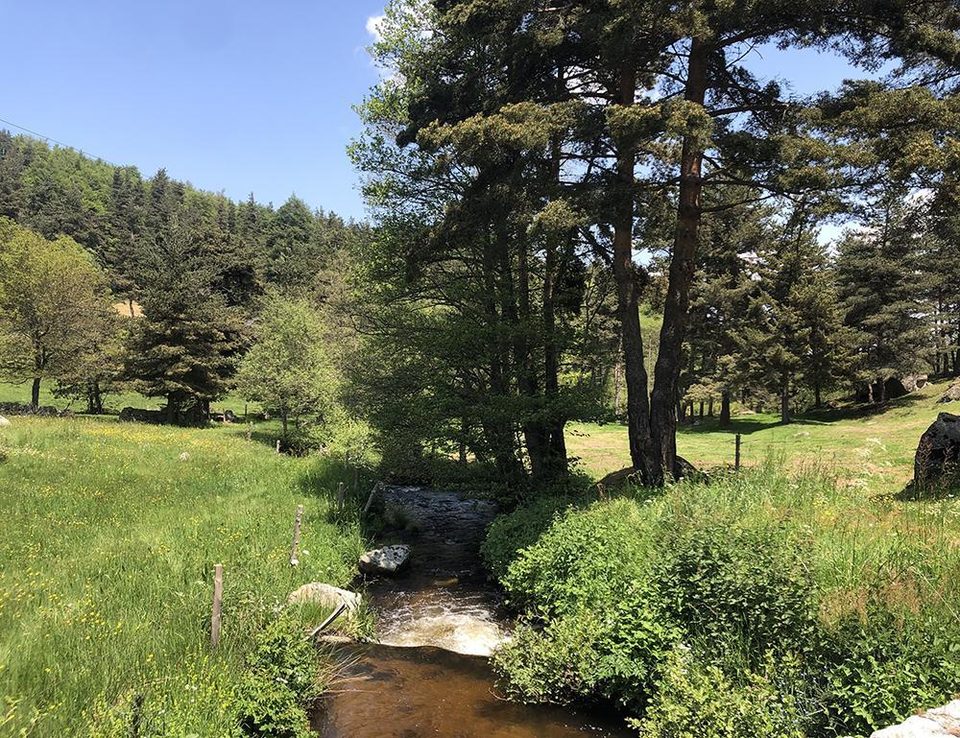 12 - Petit tour en Margeride