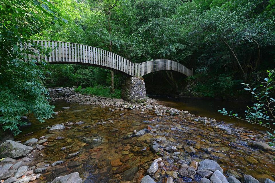 41 - Autour de la Dunière