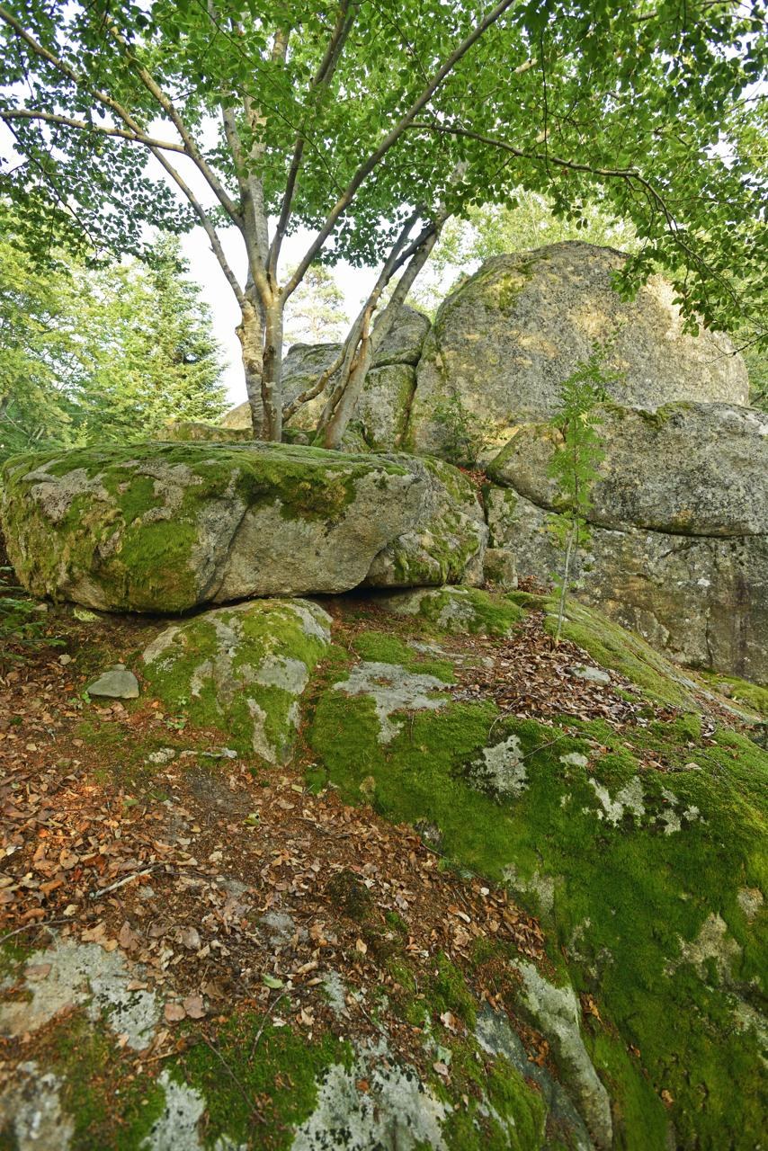 31 - Au bord du Lignon