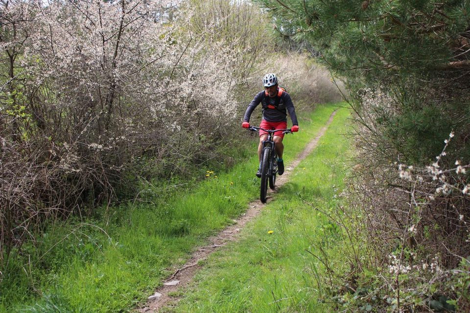 Détour en sous bois à travers les Roches