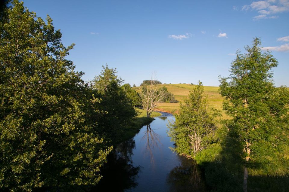 Détour en sous bois à travers les Roches