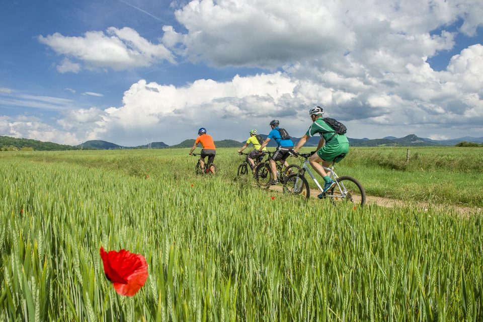 Conquérir les chemins de la nature
