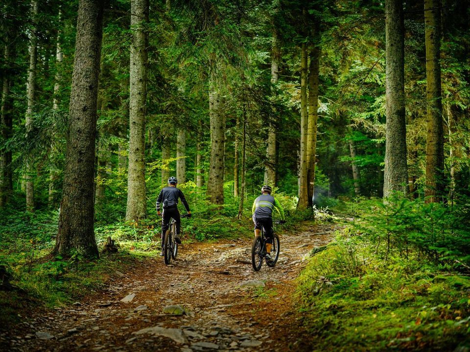 Le sentier de l'Arkose