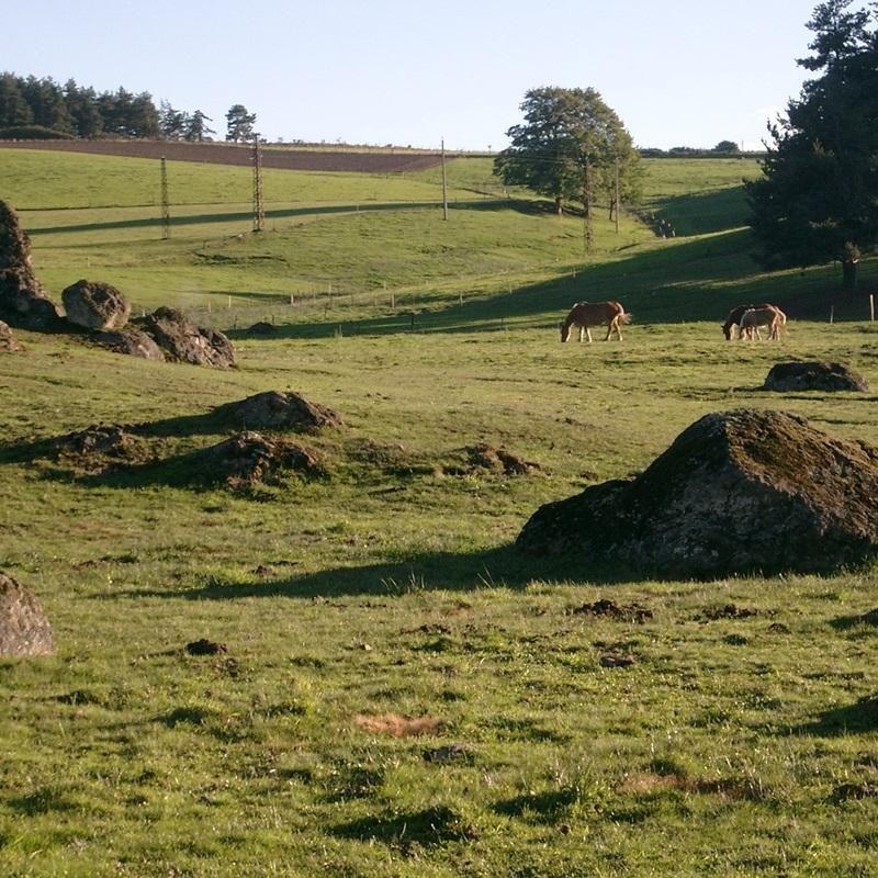 Les prés de la Haute-Loire