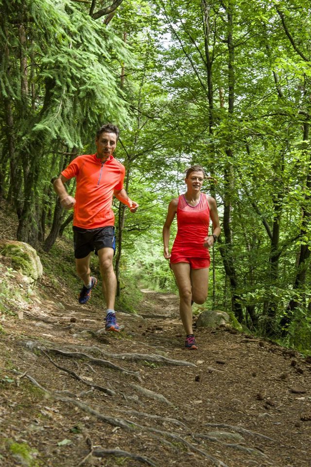 Descente effrénée dans la forêt