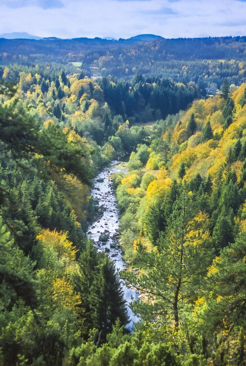 T53 - Les Gorges du Lignon
