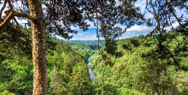 Les gorges du Lignon