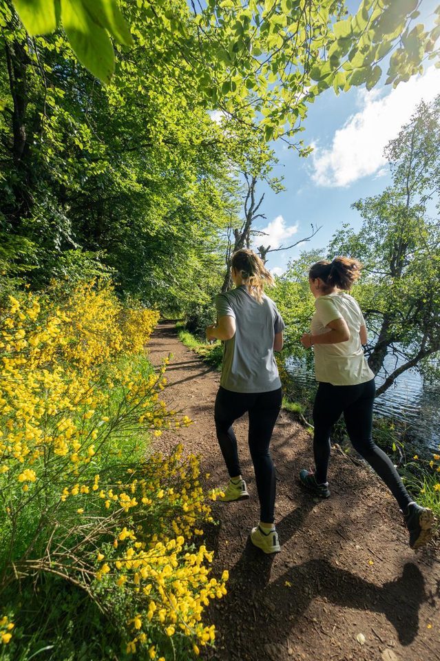 Trail sur le plateau du Devès