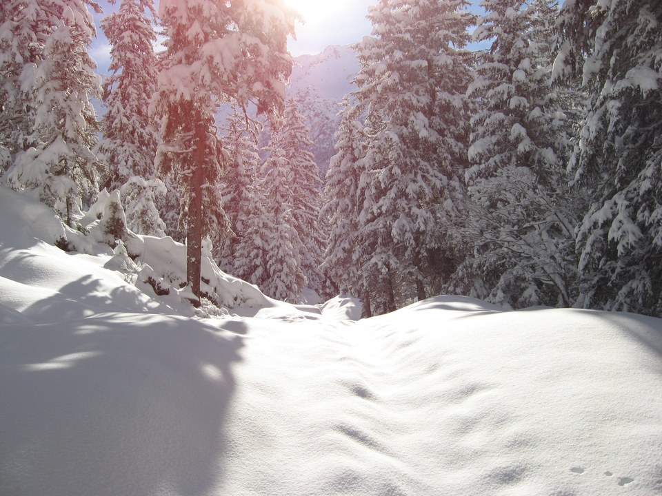 Boucle des cerfs : raquettes aux Houches