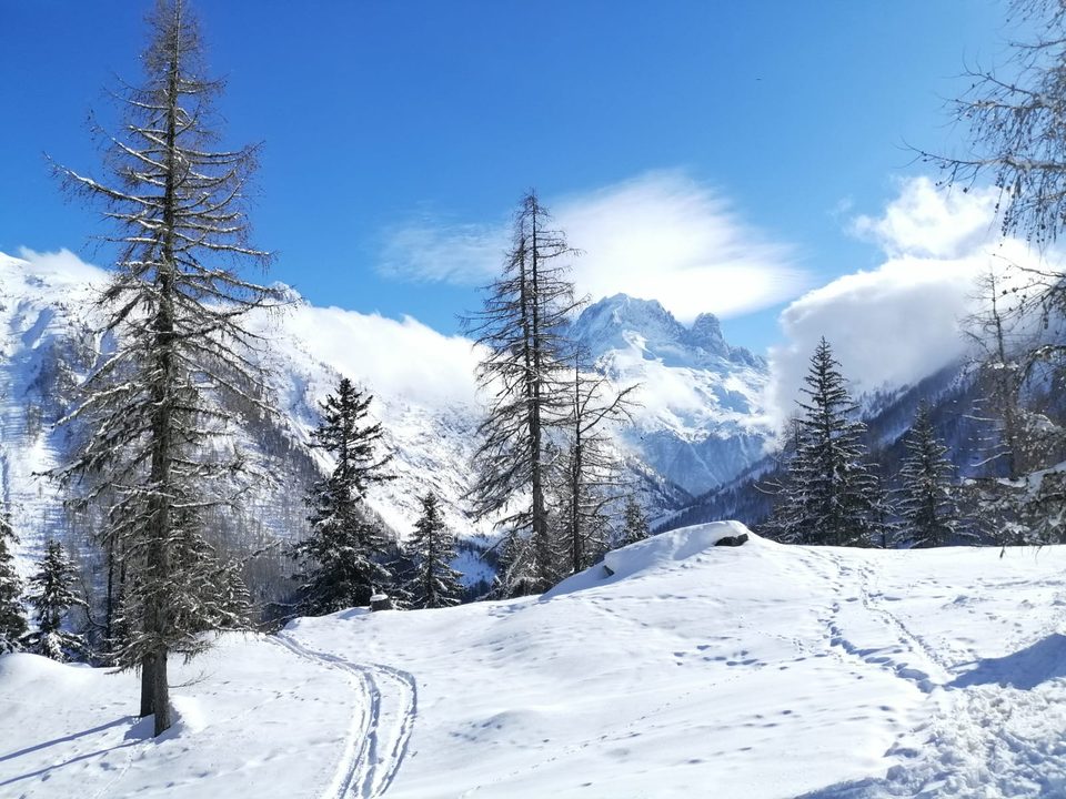 IMG-20220117-WA0004