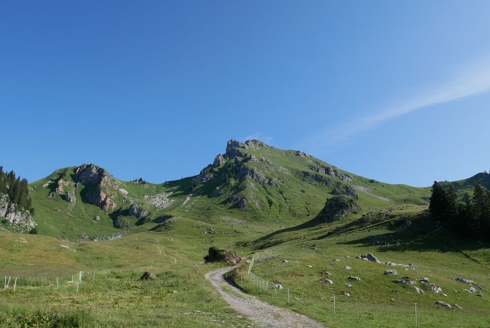 P1000884
