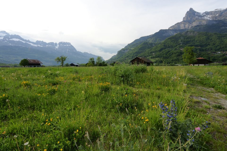 La plaine de Domancy