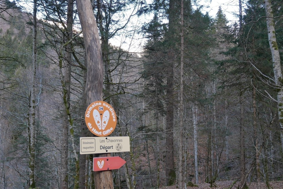 Les Chavonnes par le Crêt de Vosy : raquettes à Samoëns