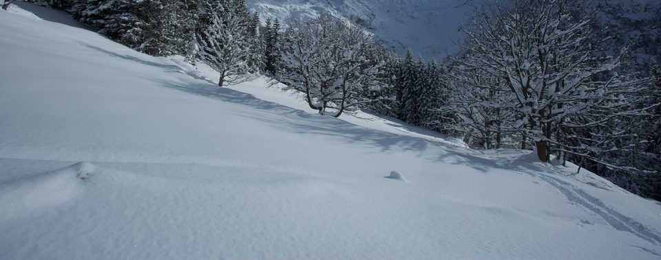 La Drè Yo : ski de randonnée à Praz-sur-Arly