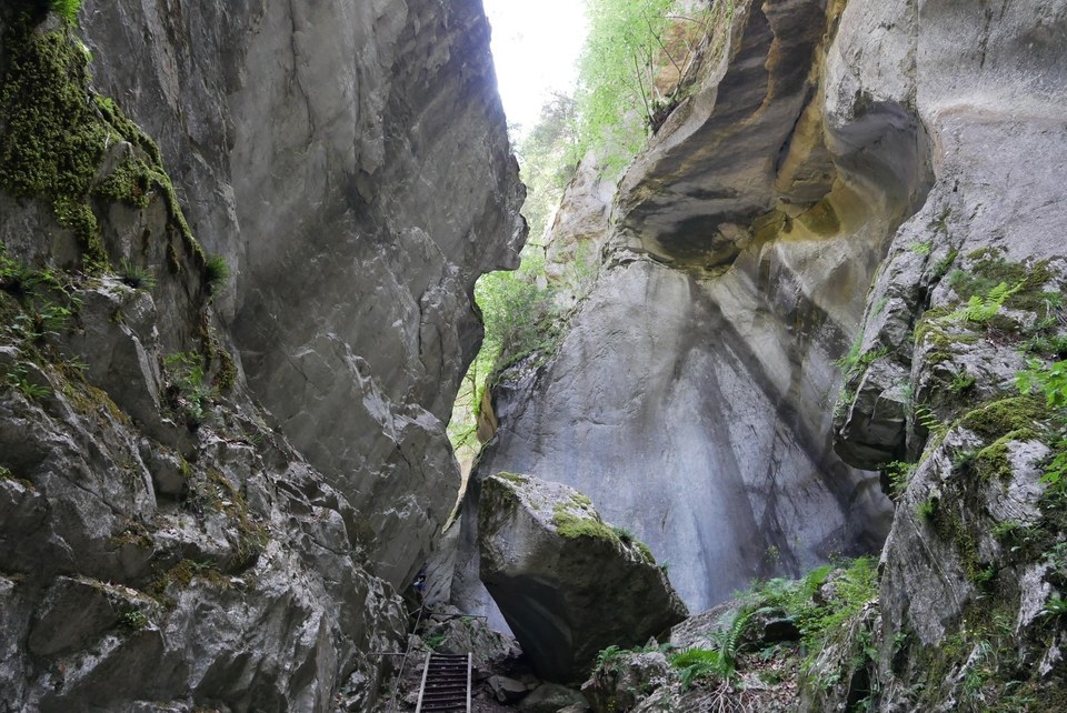 Les Gorges des Tines