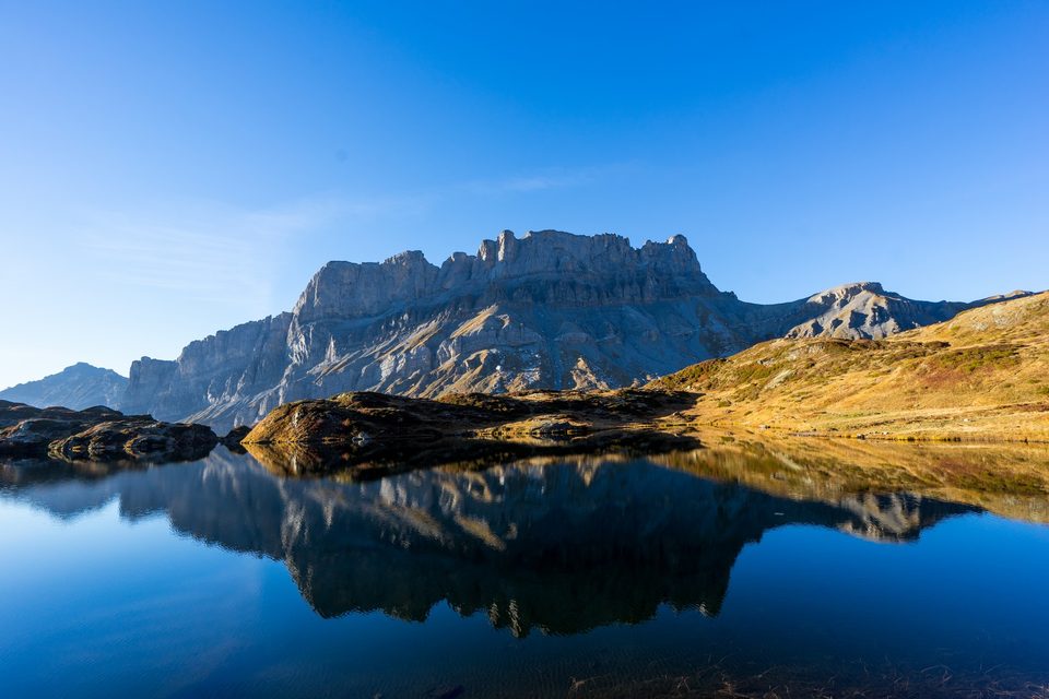 Lac de Pormenaz : un écrin de biodiversité