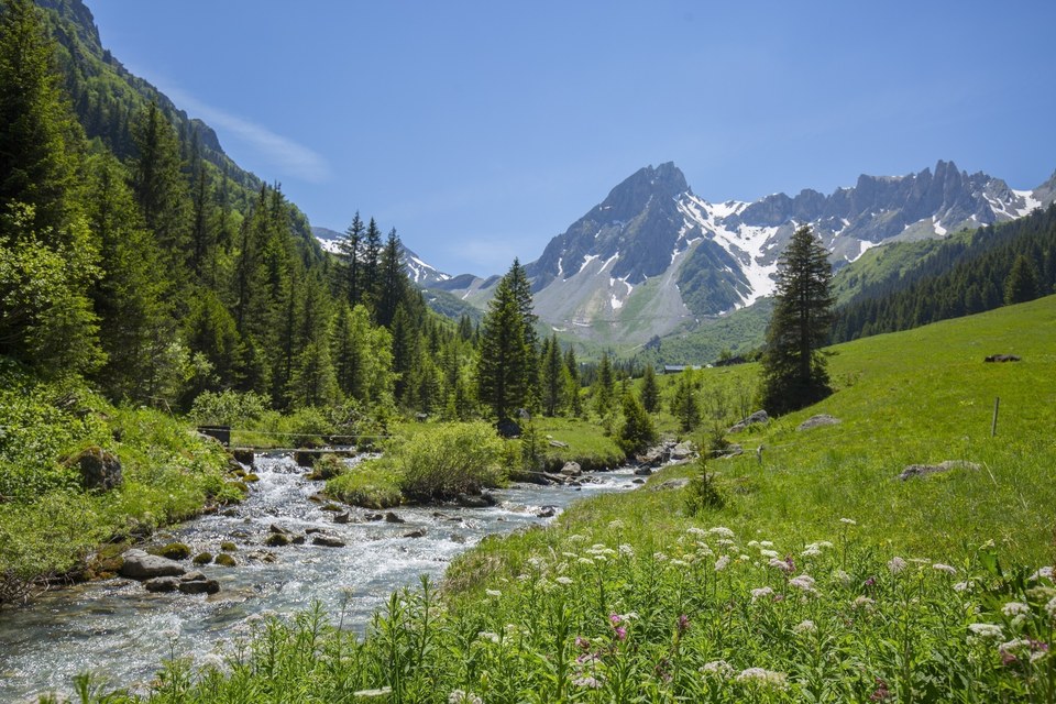 Le long du Bon Nant : Secteur Jovet