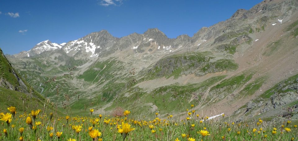 Montée au Col du Bonhomme