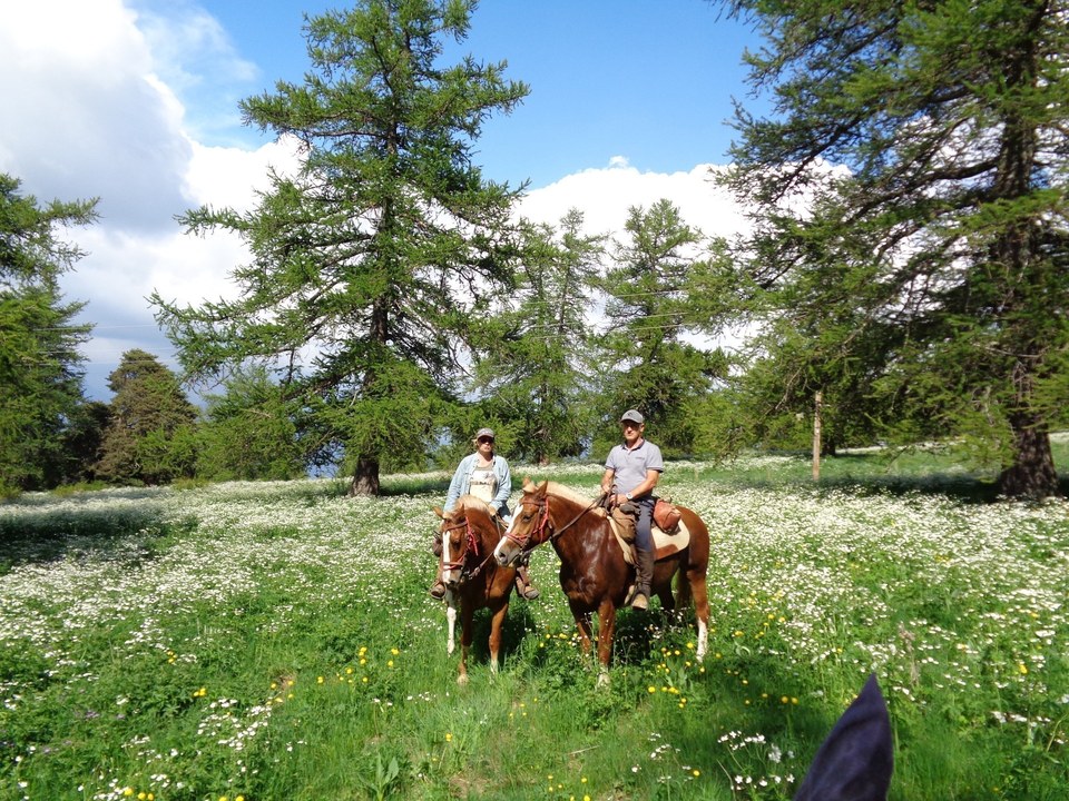 Tour de l'Avance à cheval