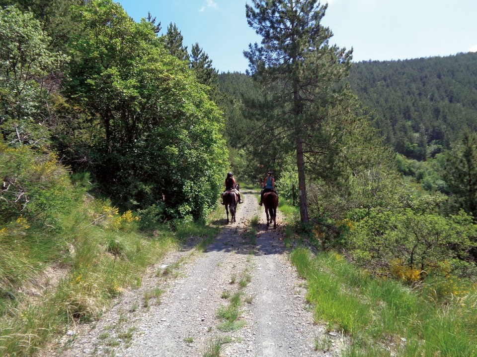 Tour de l'Avance à cheval