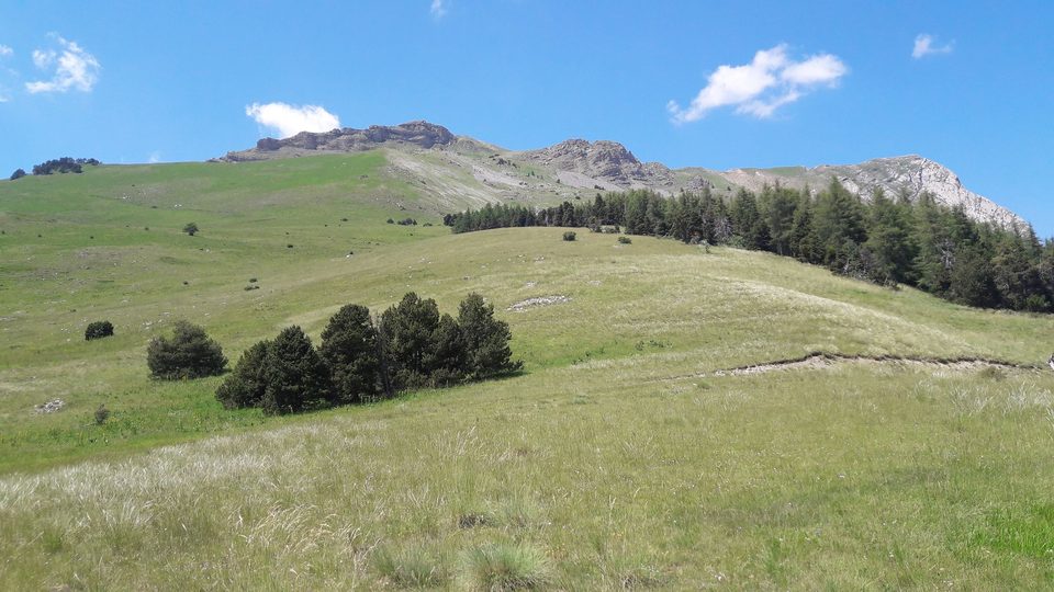 Aux frontières du Champsaur (VTT n°8 noir)