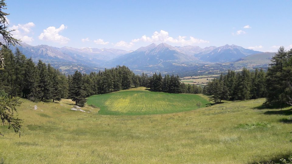 Aux frontières du Champsaur (VTT n°8 noir)