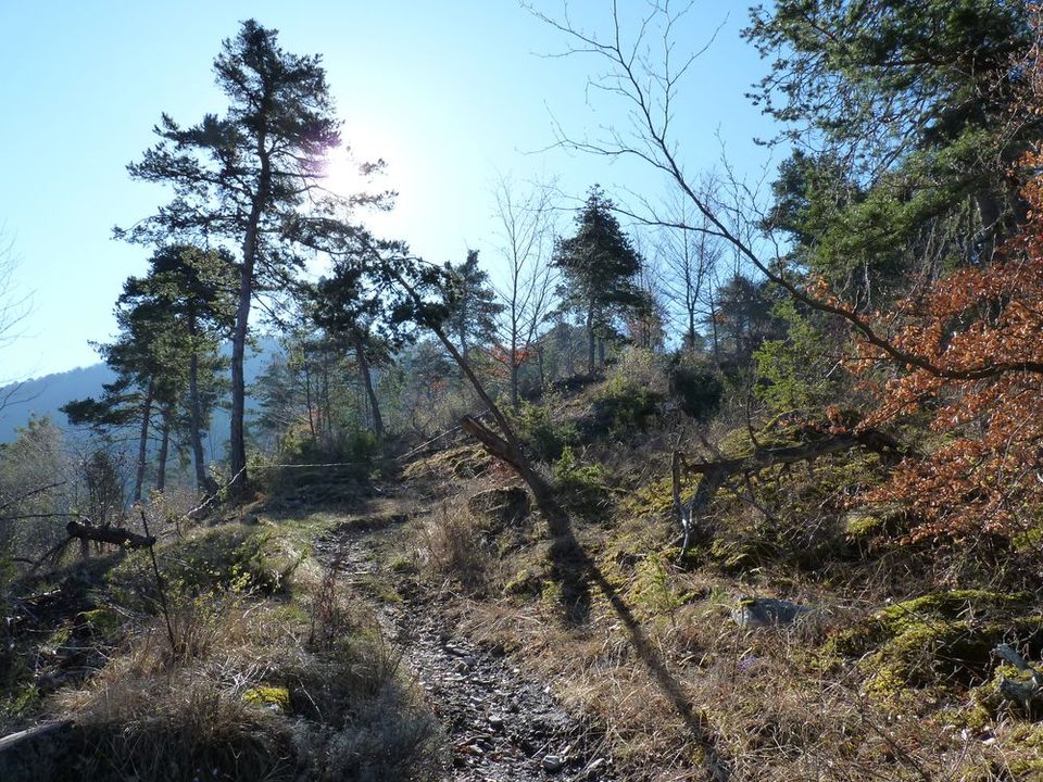 Sur le sentier montant au Serre