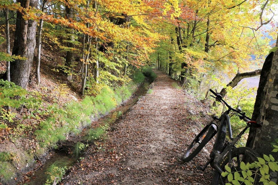 Canal aux abords du village de la Roche