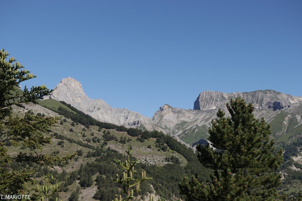 Col d'Aune