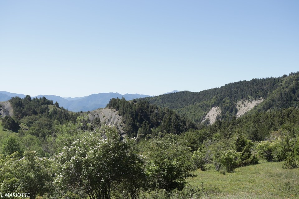 Col d'Aune