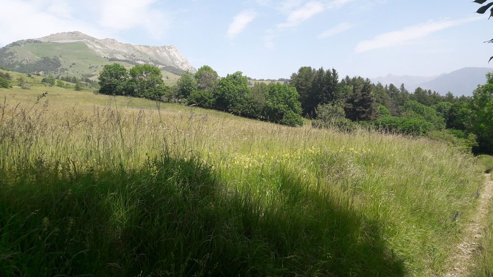 Far Bayard (VTT n°1 rouge)