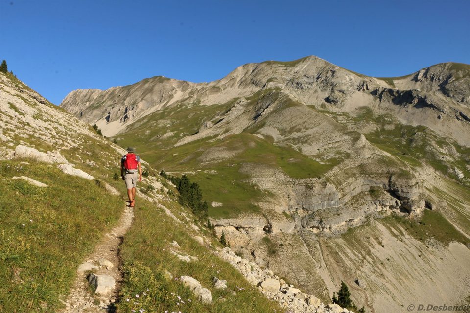 Col des Aiguilles