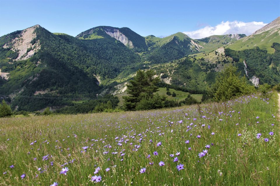 Col du Festre depuis La Cluse