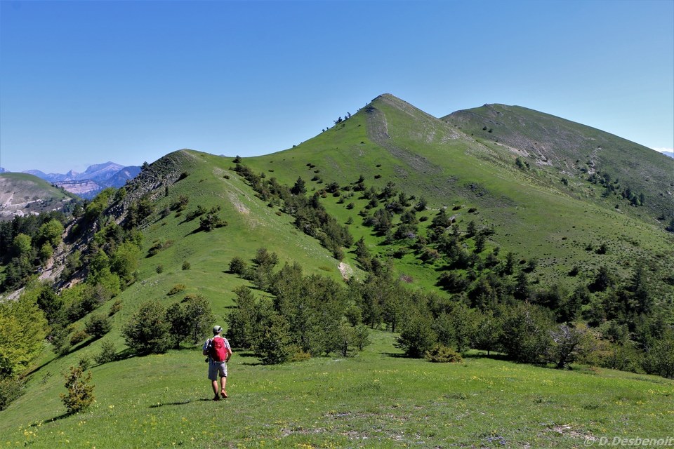 Le Luzet