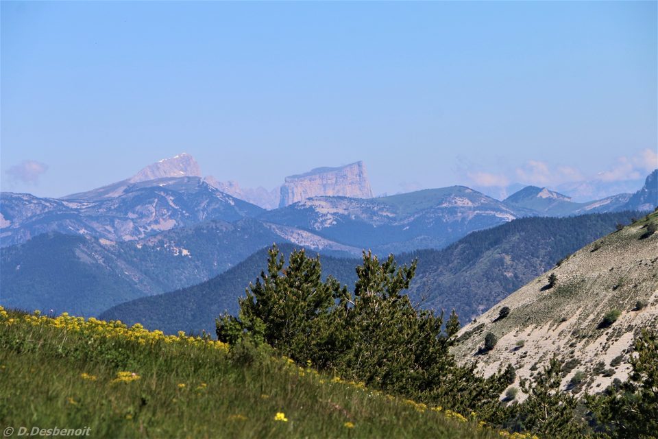 Le Luzet