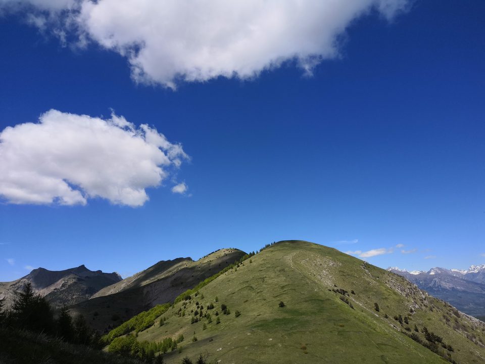 L'intégrale