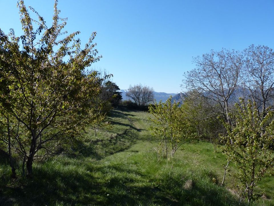 Les alpages de Serre Giraud